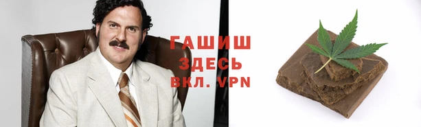 мяу мяу мука Елизово