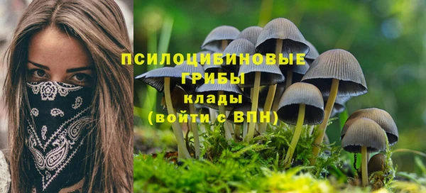 mdma Ельня