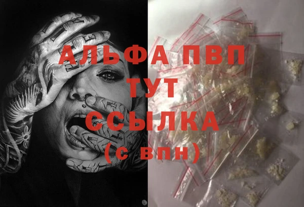 мяу мяу мука Елизово