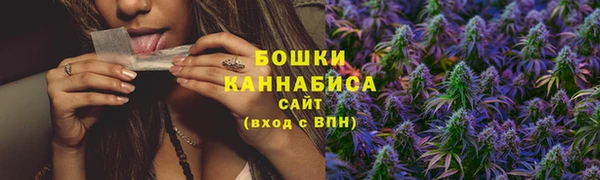 тгк Елабуга